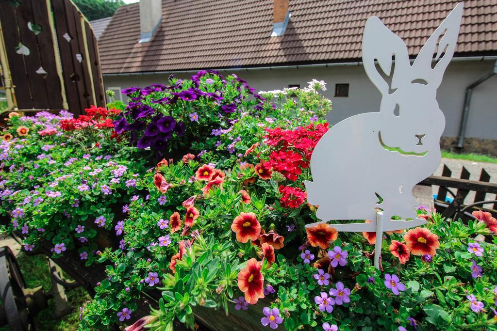Banská Štiavnica Penzion Stary Hostinec מראה חיצוני תמונה
